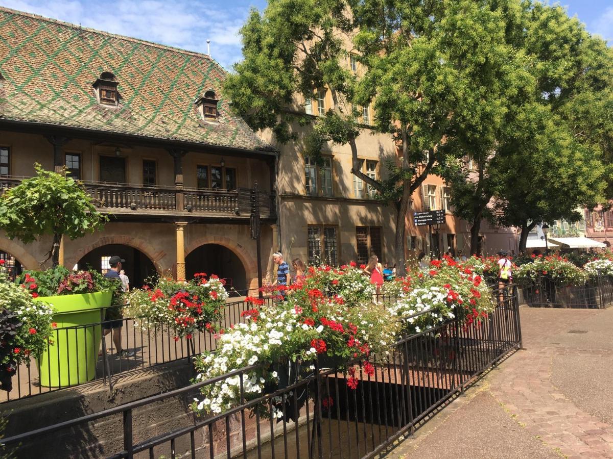 Appartement Centre Historique La Collegiale Colmar